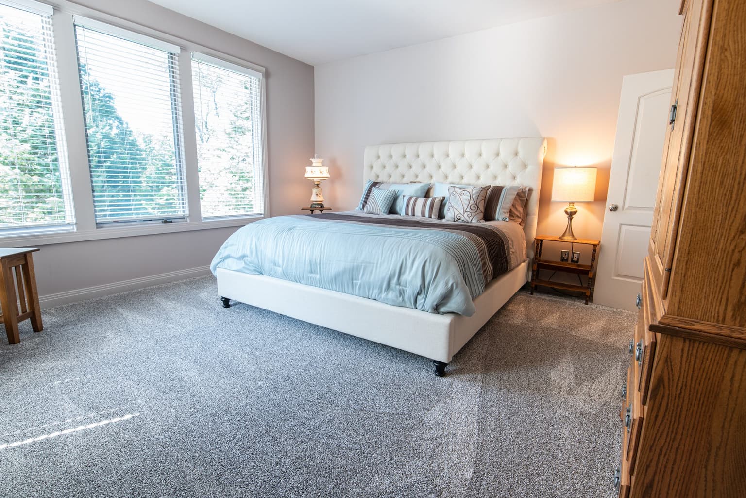 Carpet Cleaning
